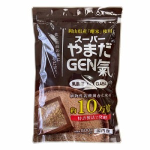 発芽玄米 ニュー・サイエンス スーパーやまだGEN氣 500g 軽量スプーン付き 国産 玄米 発酵 植物性乳酸菌