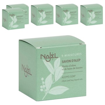 NAJEL 阿勒坡皂迷你薄片 5片  100g  6盒