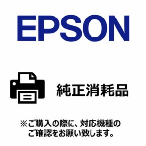 エプソン　EPSON　〔インクジェット〕ロール紙 光沢紙ラベル2 全面ラベル [100mmx30m  1巻]　ZG2K100