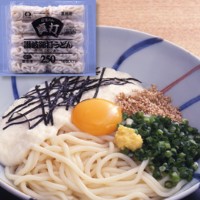  真打 讃岐細打うどん(ミニダブル) 250G 5食入 冷凍 2セット