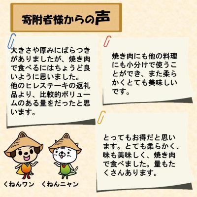 ふるさと納税 神埼市 佐賀牛ヒレ焼き肉用600g (H065139)