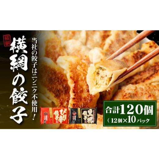 ふるさと納税 京都府 京都市 横綱の餃子はニンニク不使用！ぴり辛餃子・黒豚餃子 各5パックセット