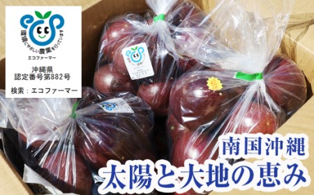 パッションフルーツ3kg　家庭用