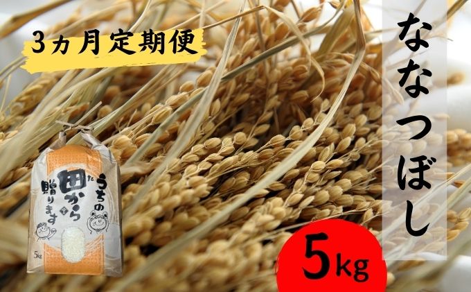 ■3ヵ月連続お届け■ 定期便 3回 北海道 豊浦 令和5年産 精米 ななつぼし 5kg ≪江刺家花園≫