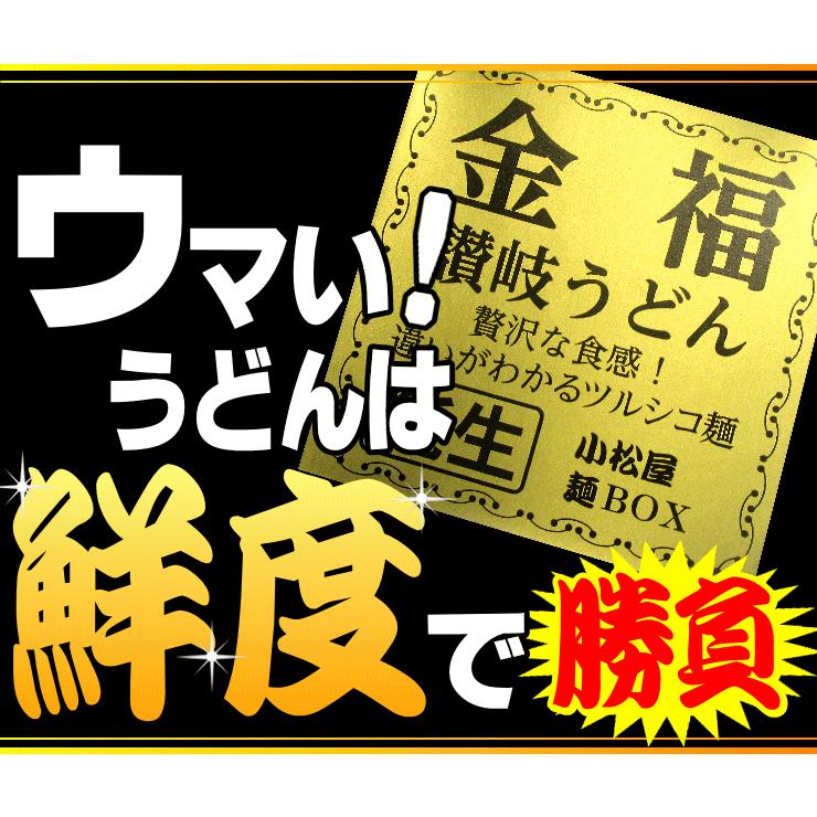 ポイント10% ひと目惚れするほど、旨すぎる 醤油・つゆ付 金福 讃岐うどん 1000円ポッキリ 送料無料 並切麺 香川県 グルメ お取り寄せ ポイント消化 産地直送