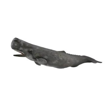 親子桌遊 collectA 抹香鯨~英國高擬真模型-R88835【永曄 小牛津 柯雷塔】