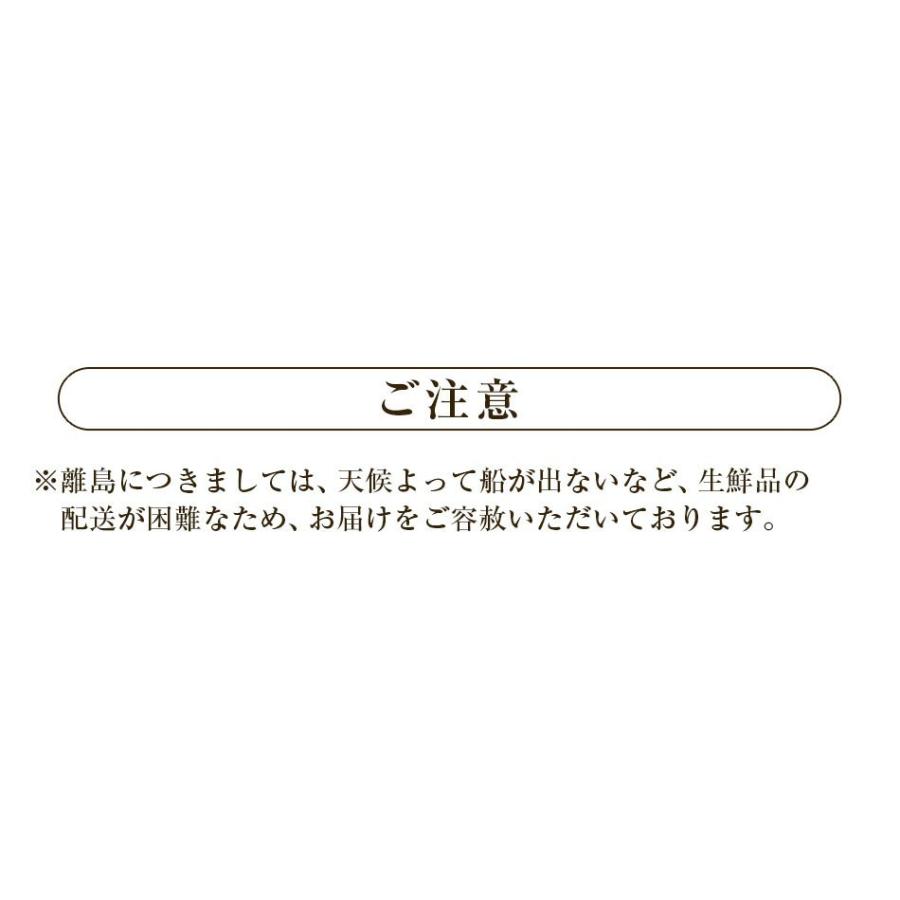 みかん 三ヶ日みかん 静岡県産 3kg 特別栽培農産物 減農薬 化学肥料不使用 訳あり ジュース用 ご家庭用 にんじんジュースにも最適