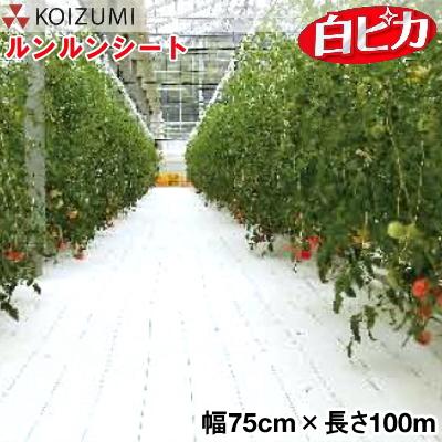 KOIZUMI (小泉製麻)　防草シート　ルンルンシート　白ピカ　幅75cm×長さ100m