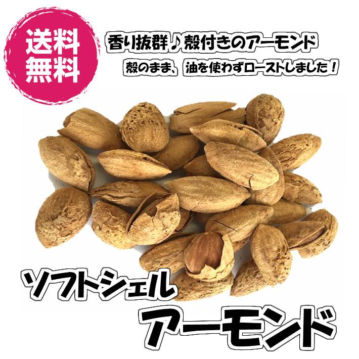 送料無料 殻付きアーモンド（ソフトシェルアーモンド 1kg／500g×2パック）ナッツ アーモンド