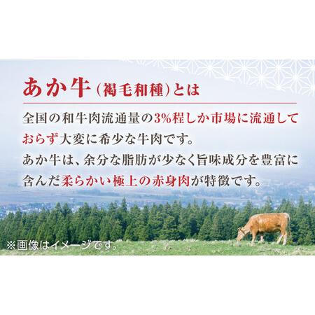 ふるさと納税 熊本県産 あか牛 極上 ヒレステーキセット 計300g 150g × 2枚 冷凍 専用タレ付き あか牛のた.. 熊本県山都町