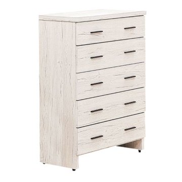 文創集 得卡2.7尺五抽斗櫃-80x40x116cm免組