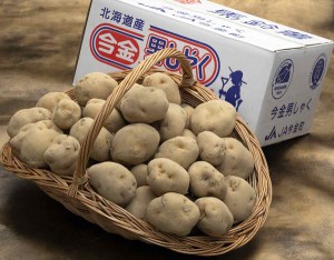 『今金男爵』北海道産じゃがいも L～2L 約10kg 産地箱 ※常温　送料無料