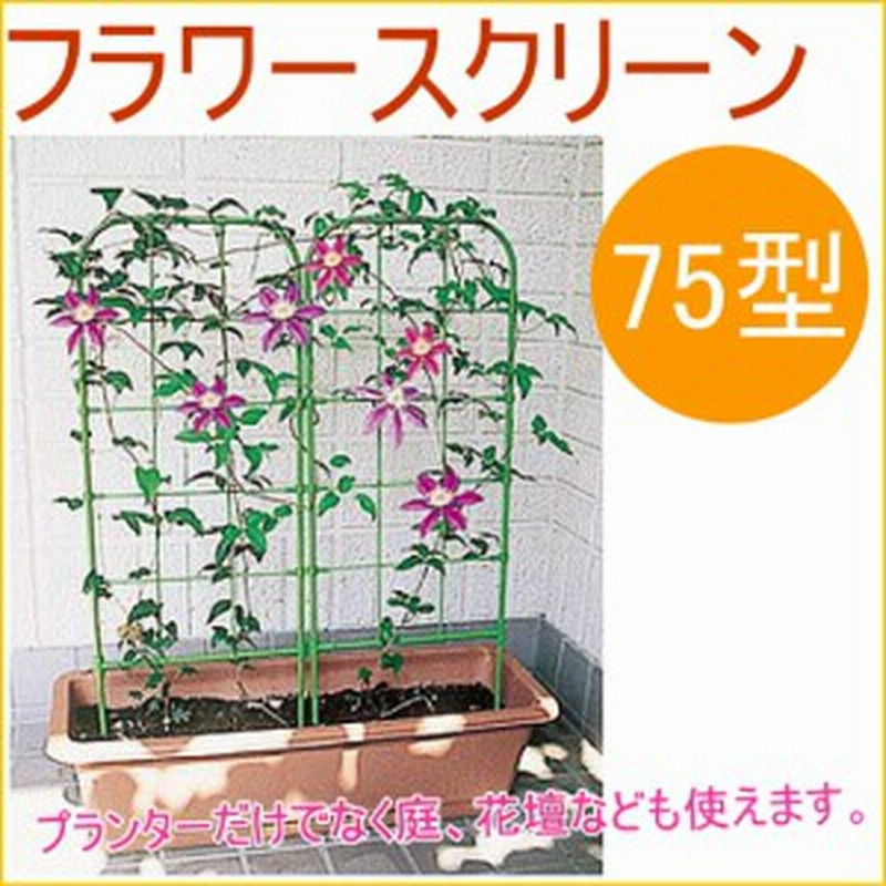 フラワースクリーン 75型 1個入 園芸 ガーデニング 家庭菜園 観葉植物 支柱 土 野菜 栽培 簡単 便利 鉢 プランター 通販 Lineポイント最大1 0 Get Lineショッピング