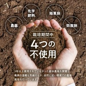 ふるさと納税 奄美の島らっきょう 1kg 露地栽培 12月以降お届け 先行予約 おつまみ 天ぷら おかか和え 奄美産 鹿児島県奄美市