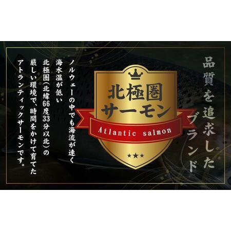 ふるさと納税 北極圏サーモン ポーション 700g（350g×2パック） 大阪府泉佐野市