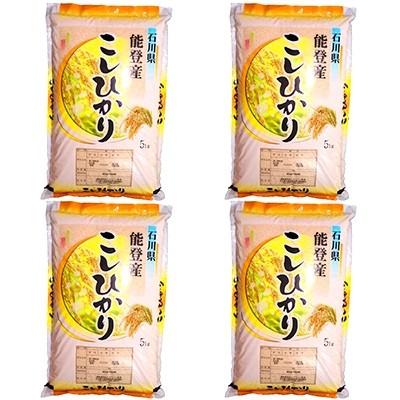 ふるさと納税 七尾市 令和5年産　石川県能登産こしひかり　精米20kg(5kg×4袋)