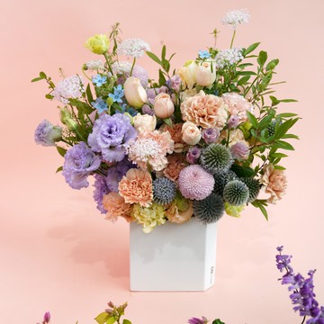 🚚限雙北配送【CNFlower】幸福時光 盆花 開幕 祝賀