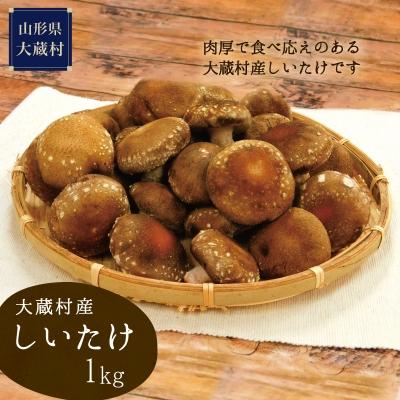 ふるさと納税 大蔵村 大蔵村産　生しいたけ1kg