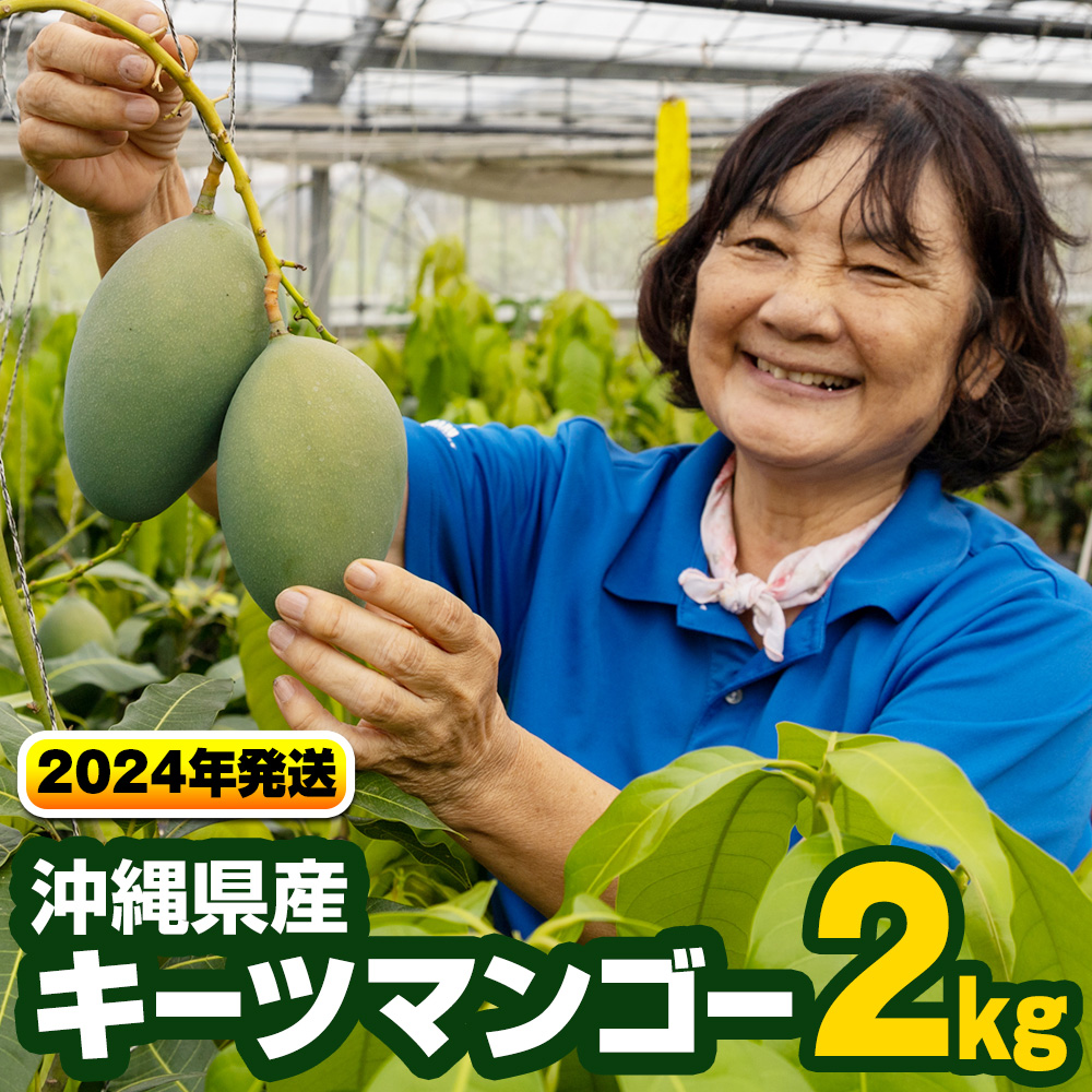 沖縄県産キーツマンゴー2kg