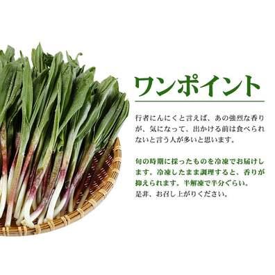 ふるさと納税 冷凍天然行者にんにく500g 旬の時期に収穫し冷凍 北海道浦幌町