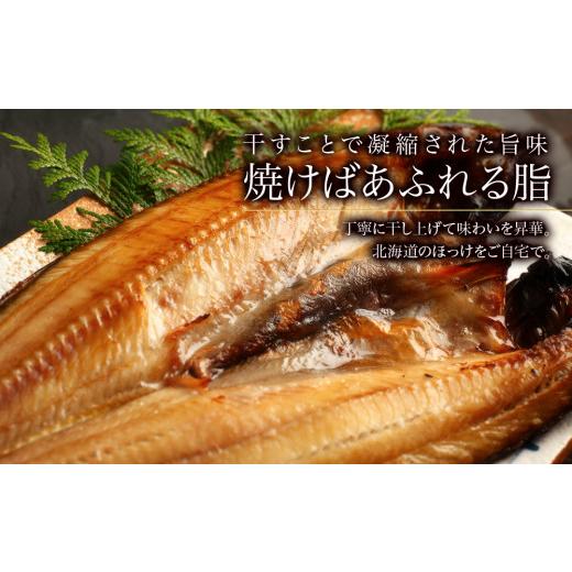 ふるさと納税 北海道 利尻富士町 〈利尻漁業協同組合〉利尻島産 開きほっけ 5枚