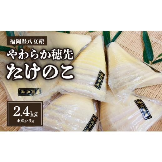 ふるさと納税 福岡県 八女市 福岡県八女産　やわらか穂先たけのこ　400g×6袋｜2024年5月以降