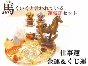 うまくいく 願い叶える 金運 勝負運 仕事運 開運 ギャンブル運up 商売繁盛 財運 出世 風水 ボトル 王冠 銭馬 うま 風水セ 通販 Lineポイント最大1 0 Get Lineショッピング