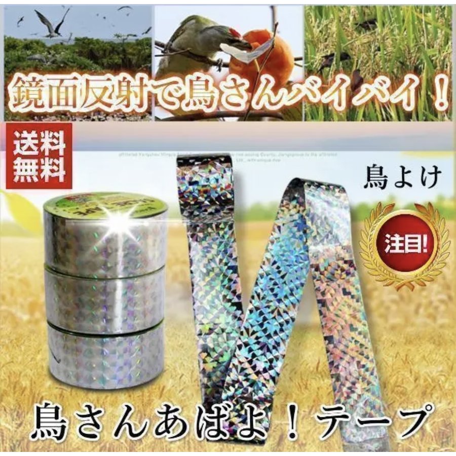 人気商品】 防鳥 鳩よけ対策 とげピー ２ＰＣ ベランダ 鳥よけグッズ グッズ 鳩よけ 鳥 撃退 カラス撃退 対策 ガーデニング 鳩対策 鳥よけ  カラスよけ 駆除