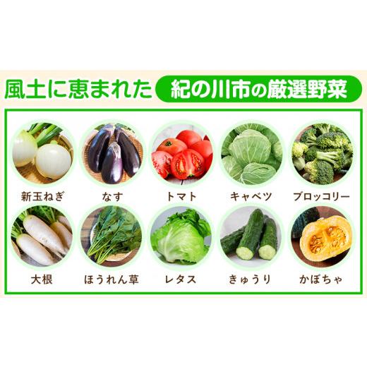 ふるさと納税 和歌山県 紀の川市 紀の川市の恵み 旬のフルーツ＆野菜セット 計8~10品《お申込み月翌月から出荷開始》和歌山県 紀の川市 フルー…