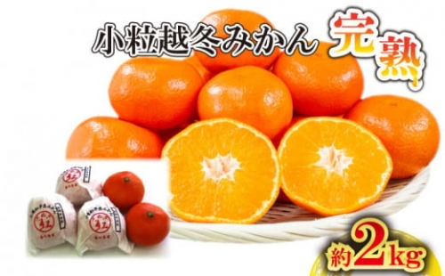 みかん 小粒 小玉 越冬完熟みかん 蜜柑 約 2kg 完熟 小粒 小原紅早生 みかん 国産 さぬき市 ミカン 果物 フルーツ 旬 