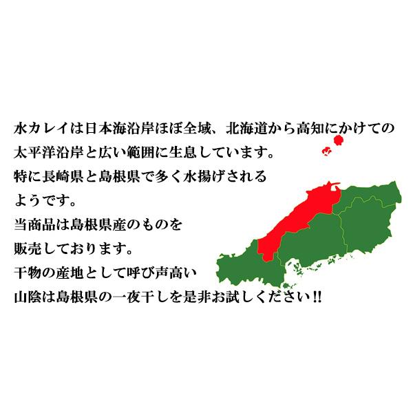 水カレイ 5枚セット 一夜干し 島根県産 干物 送料無料 かれい おかず