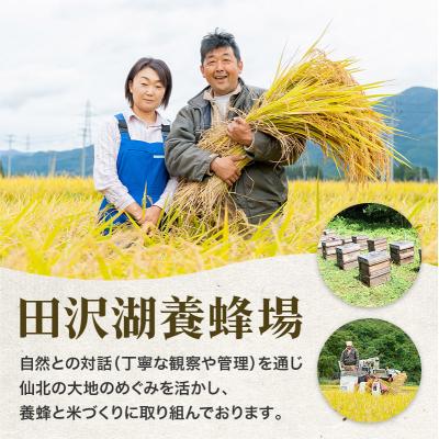 ふるさと納税 仙北市 令和5年産 秋田県産 あきたこまち 30kg|02_tyj-323001