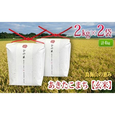 ふるさと納税 秋田県産 あきたこまち 玄米 4kg（2kg×2袋）神宿る里の米「ひの米」（お米 小分け） 秋田県にかほ市