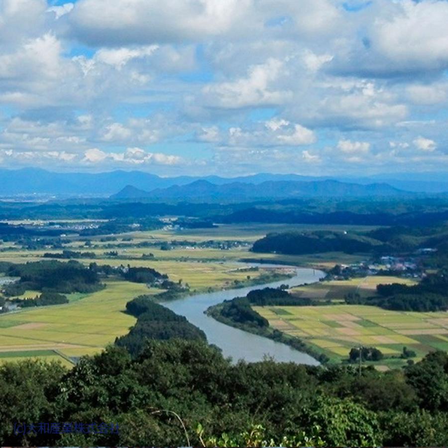 米 お米 あきたこまち 10kg 秋田県産 白米 5kg×2 令和5年産