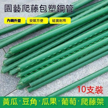 葡萄爬藤架 種菜豆角黃瓜架 花支架 庭院花卉植物支撐桿西紅柿架園藝