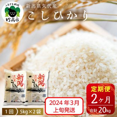 ふるさと納税 妙高市 2024年3月上旬より発送　新潟県矢代産コシヒカリ10kg×2回(計20kg)