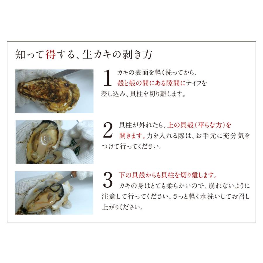 12月16〜17日お届け 牡蠣 かき カキ 北海道 厚岸産 カキえもん まるえもん 殻付き 各Lサイズ5個  食べ比べセット 生食 鍋