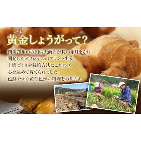 ふるさと納税 生姜一筋70年の生姜老舗問屋 黄金しょうが2kg 生姜 生産量日本一 おかず お料理 しょうが 料理 飲み物 Xnb-0004 高知県香南市