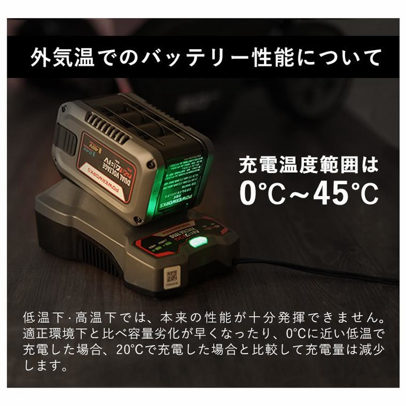 ハイガー公式 充電式電動除雪機（大容量バッテリー48V2個＋急速
