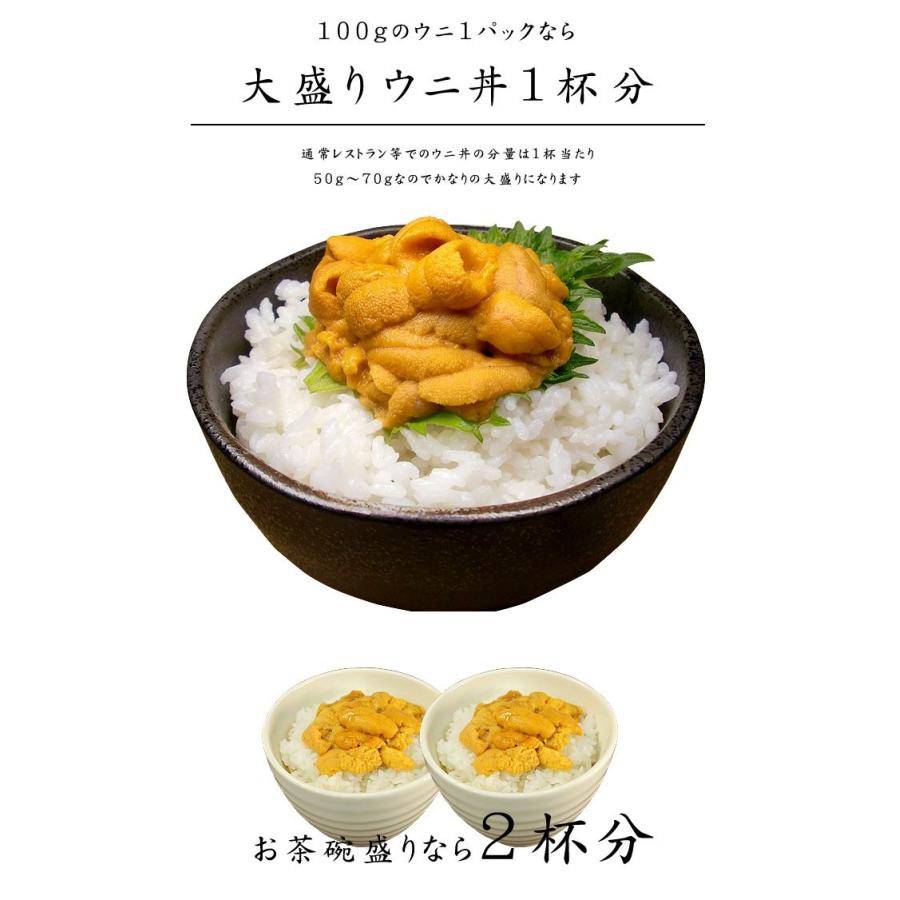 生ウニ200g（100g×2パック）無添加 送料無料 刺身 海鮮丼 食べ物《ref-un2》yd5[[生ウニ100-2p]