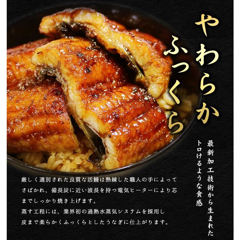 うなぎ ウナギ 国産 長蒲焼き 160g〜170g×2尾 送料無料《eel-ue1》〈ue1〉yd9[[ウナギ長蒲焼き-2p]