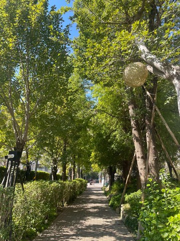 親子社區~洲際5年屋~大毅讚幸福高樓2房平車｜台中市北屯區崇德十六路