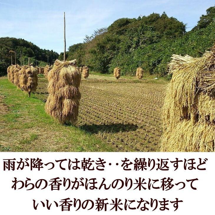 米　新米　天日干し　ひとめぼれ　玄米　10kg　白米にすると9kg　令和5年産米　岩手県産　お米　10キロ　発送日当日精米