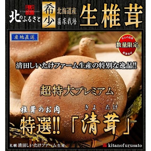 生 椎茸 超特大プレミアム 清茸 3Lサイズ 2玉 (1パック) 産地直送 札幌 清田産 高級 椎茸 シイタケ しいたけ 肉厚 きのこ キノコ 超特大 父の日 お中元