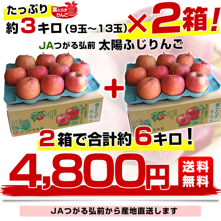 青森県より産地直送 JAつがる弘前 葉とらず太陽ふじりんご 糖度13度以上 約3キロ×2箱（9玉から13玉×2箱） 送料無料 林檎 サンフジ 津軽