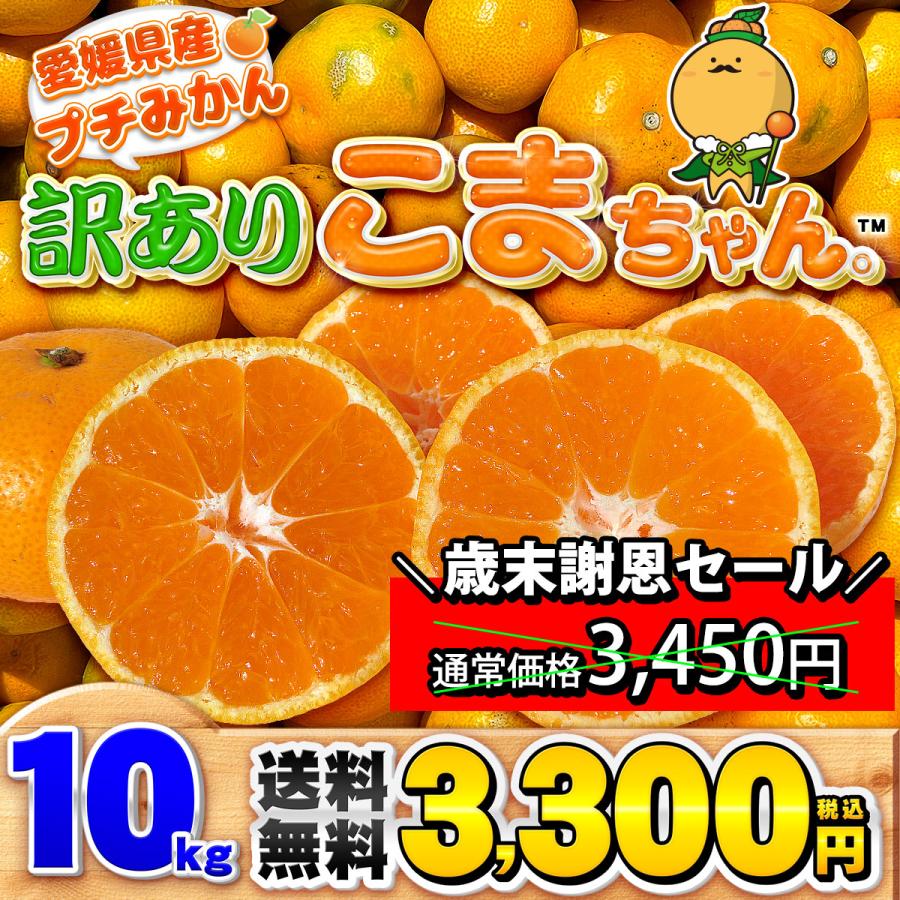 訳あり こまちゃん 10kg 愛媛県産 小玉みかん 自宅用 家庭用 訳あり 宇和島 西宇和 箱買い 小粒 早生 蜜柑 10キロ