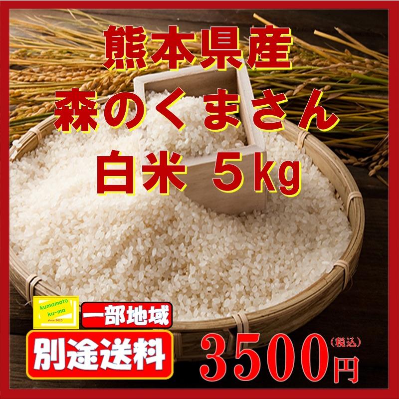 令和5年産　森のくまさん　5ｋｇ　白米　新米　熊本県産　熊本　米　お米