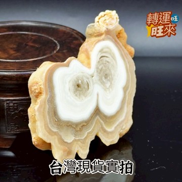 【台灣現貨】天然 龍宮 舍利 光明 靈骨 大吊墜 水晶 礦石 精品 擺件 飾品 轉運 開運 招 財 好運 靈招 人緣