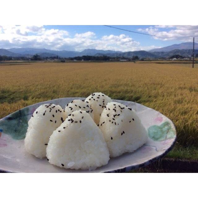 岩手県雫石産 乾式無洗米 5kg 袋