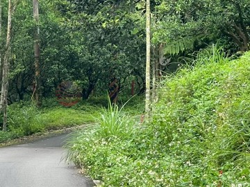 【橫山萬坪山林丙建農地！登高望遠、靜謐幽靜首選】｜新竹縣橫山鄉八十分